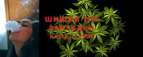 шишки Бронницы