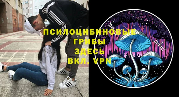 шишки Бронницы