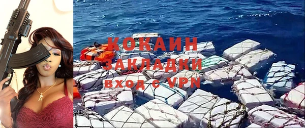 шишки Бронницы