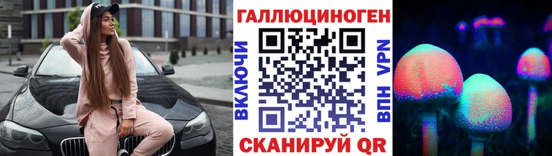 купить   Киренск  Псилоцибиновые грибы GOLDEN TEACHER 