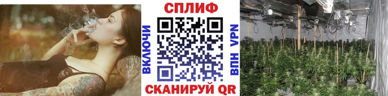 Марихуана Amnesia  продажа наркотиков  Киренск 